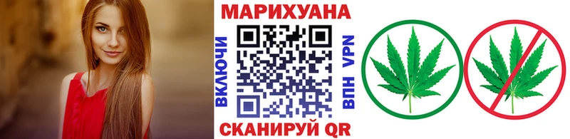 Каннабис план  Ростов 